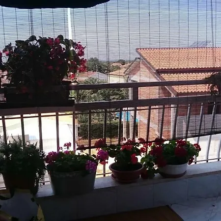 Sunny Attic In Διαμέρισμα *